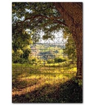Cakapuzzle Koyu Gölgeli Ağaç ve Arkaplanda Tepeler Puzzle Yapboz MDF (Ahşap) (255 Parça)