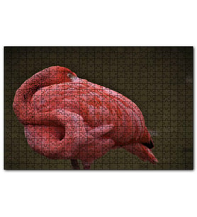 Cakapuzzle Kendine Sarılan Flamingo  Puzzle Yapboz MDF (Ahşap) (500 Parça)