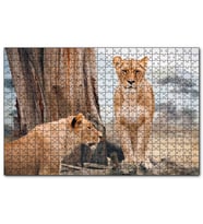 Cakapuzzle Afrika Savanında Dişi Aslan Görseli  Puzzle Yapboz MDF (Ahşap) (1000 Parça)