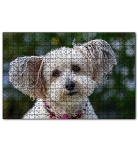 Cakapuzzle Sevimli Beyaz Terrier  Puzzle Yapboz MDF (Ahşap) (500 Parça)