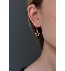 Papatya Silver 925 Ayar Gümüş Kalemli Yıldız Halka ve Top Küpe (Rose)