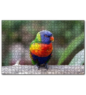 Cakapuzzle Gökkuşağı Lorikeet Papağanı  Puzzle Yapboz MDF (Ahşap) (500 Parça)