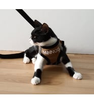 KEDİ TASMASI İSME ÖZEL (Vizon)