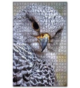 Cakapuzzle Gri Doğan Yakın Plan Puzzle Yapboz MDF (Ahşap) (500 Parça)