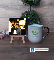 Çevre Mühendisi Fotoğraflı Dekoratif Taş, Kupa Bardak Beyaz Hediye (Model 10)