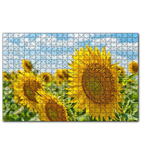 Cakapuzzle Günebakan Çiçekleri  Puzzle Yapboz MDF (Ahşap) (1000 Parça)