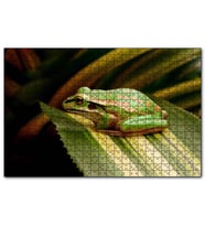 Cakapuzzle Yeşil Yaprak Üzerindeki Yeşil Kurbağa  Puzzle Yapboz MDF (Ahşap) (255 Parça)