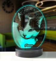 Kedilere Özel Oval Resimli Kişisel 3d Led Gece Lambası (4199)