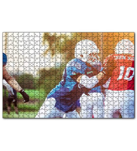 Cakapuzzle Amerikada Ragbi Rekabeti  Puzzle Yapboz MDF (Ahşap) (255 Parça)