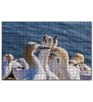 Cakapuzzle Deniz ve Sümsük Kuşları  Puzzle Yapboz MDF (Ahşap) (500 Parça)