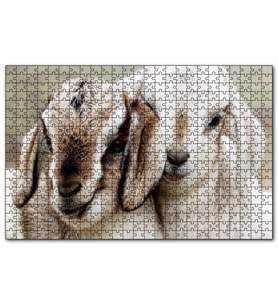 Cakapuzzle Keçi Yvruları Görseli  Puzzle Yapboz MDF (Ahşap) (500 Parça)