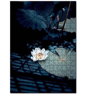 Cakapuzzle Gölde Dev Yapraklar ve Nilüfer Çiçeği Puzzle Yapboz MDF (Ahşap) (500 Parça)