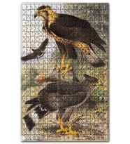 Cakapuzzle Taçlı Sağadet Kartallar Puzzle Yapboz MDF (Ahşap) (500 Parça)