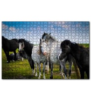 Cakapuzzle  Çayırda Siyah ve Beyaz Atlar  Puzzle Yapboz MDF (Ahşap) (500 Parça)