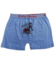 Sedef Yıldız Erkek Çocuk Likralı Boxer 1089 (Mavi)