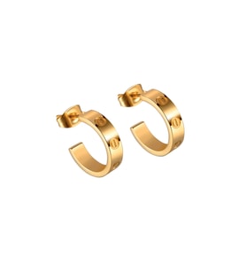 Chavin Vidalı Tasarım Bayan Çelik Küpe eh81 (Gold)
