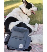 Pan Bag - Köpek Gezdirme Çantası (Gri)
