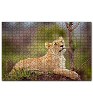 Cakapuzzle Dişi Genç Aslan  Puzzle Yapboz MDF (Ahşap) (1000 Parça)