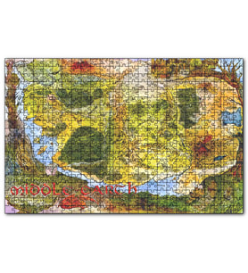 Cakapuzzle Orta Dünya Haritası Renkli  Puzzle Yapboz MDF (Ahşap) (1000 Parça)