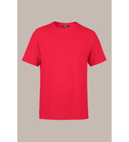 METALIC Erkek Çok Renkli T- Shirt Regular Fit Rahat Kesim Bisiklet Yaka Basic Tişört (Kırmızı)