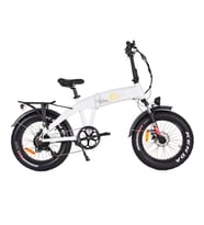 Citycoco Fatbike Mini Katlanabilir Elektrikli Bisiklet 250W (Beyaz)