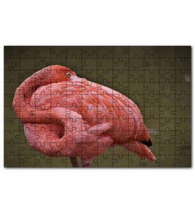Cakapuzzle Kendine Sarınarak Dinlenen Flamingo Puzzle Yapboz MDF (Ahşap) (500 Parça)