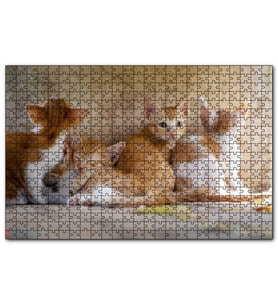 Cakapuzzle Sevimli Sarman Yavruları  Puzzle Yapboz MDF (Ahşap) (1000 Parça)