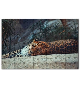 Cakapuzzle Kayanın Üzerinde Dinlenen Uykulu Jaguar Puzzle Yapboz MDF (Ahşap) (500 Parça)
