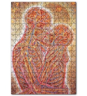Cakapuzzle Insan anatomisi Öpüşen Çift Sanat Görseli Puzzle Yapboz MDF (Ahşap) (500 Parça)