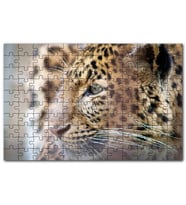 Cakapuzzle Muhteşem Güzellikteki Leopar Yakın Çekim Puzzle Yapboz MDF (Ahşap) (1000 Parça)
