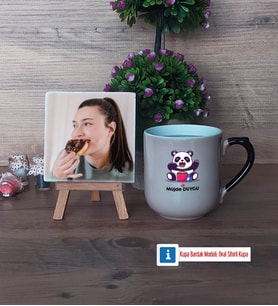 Sevimli Panda Fotoğraflı Dekoratif Taş, Kupa Bardak Beyaz Hediye (Model 10)