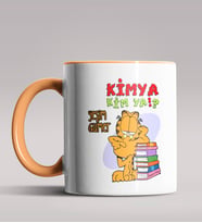 Kişiye Özel Garfield Kimya Öğretmeni Tasarımlı Siyah Renk Kupa  (Turuncu)