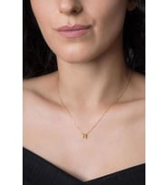 Elika Silver Kadın Üç Boyutlu H Harf Altın Kaplama 925 Ayar Gümüş Kolye