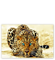 Ahşap Tablo Mavi Gözlü Leopar İllüstrasyon