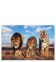 Ahşap Tablo Aslan Leopar Ve Kaplan Kompozisyon
