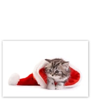 Ahşap Tablo Noel Şapkası Ve Sevimli Yavru Kedi