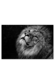 Ahşap Tablo Erkek Aslan Siyah Zemin Monochrome