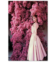 Ahşap Tablo Audrey Hepburn Kırmızı Çiçekler Önünde Yakın Çekim