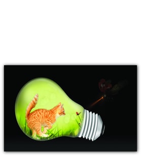Ahşap Tablo Kedi Yavrusu Uğur Böceği Fantastik