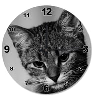 Sevimli Kedi Ahşap Duvar Saati