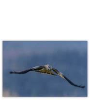 Ahşap Tablo Uçan Kartal