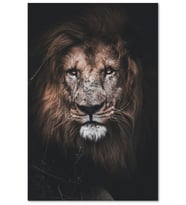 Ahşap Tablo Erkek Aslan Kavgaların İzleri