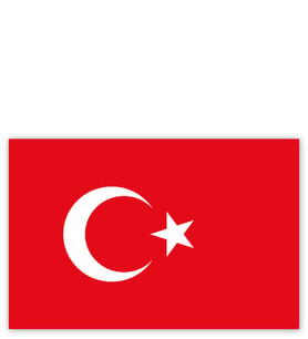 Ahşap Tablo Türk Bayrağı