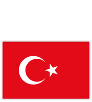 Ahşap Tablo Türk Bayrağı