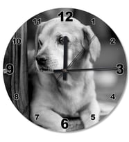 Yavru Köpek Ahşap Duvar Saati