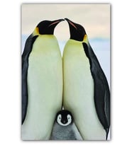 Ahşap Tablo Penguen Ailesi