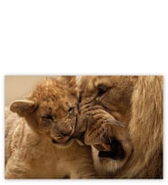 Ahşap Tablo Erkek Aslan Ve Evladı