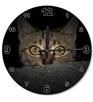 Sarı Gözlü Kedi Ahşap Duvar Saati