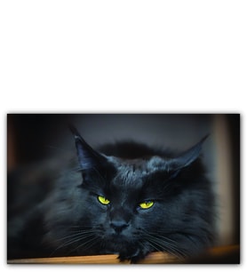 Ahşap Tablo Kara Kedi