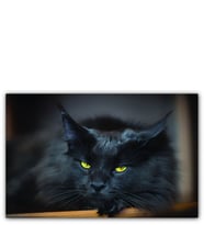Ahşap Tablo Kara Kedi